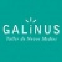 Galinus. Taller De Novos Medios