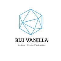 Blu Vanilla logo - Similar company to Technology Capital Invest
