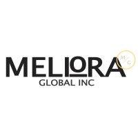 Meliora Global logo - Similar company to Agm Advantage