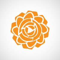 Dutch Rose Media logo - Similar company to 4Dr Studios, Volumetric Capture Studio