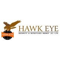 Hawkeye Intelligence Consultant logo - Similar company to Fidelity Security Operations - Fso