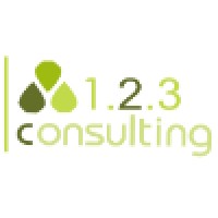 123 Consulting logo - Similar company to 123 Consulting Solutions