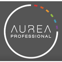 AUREA Professional S.r.l. logo - Similar company to Cds Audit S.R.L.