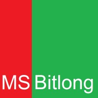 MS Bitlong logo - Similar company to The Wolf Group