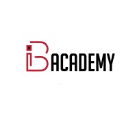 IBE Academy logo - Similar company to Insightera