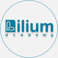 Lilium Academy logo - Similar company to Lilium Info Tech