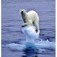 Save The Earth logo - Similar company to Save Earth