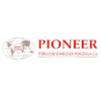 Pioneer Petroleum Services De Venezuela, C.A.