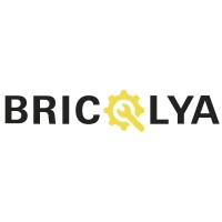 Bricolya logo - Similar company to Omnecom - Ecommerce Multicanal