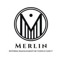 Merlin Interim Management & Consultancy logo - Similar company to Flint