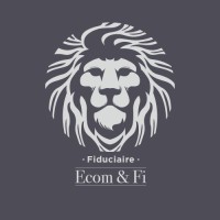 Fiduciaire Ecom & Fi logo - Similar company to Leaders Kongo