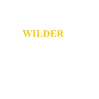 The Wilder Company, LLC logo - Similar company to Brett Construction / Setzer Properties