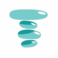 Turquoise Wealth Management logo - Similar company to Business System Solutions, Inc.