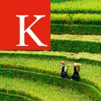 School of Global Affairs, King's College London logo - Similar company to Web Captioner