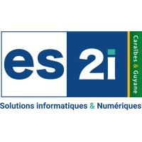 ES2I CARAIBES & GUYANE logo - Similar company to Excelsae Consulting