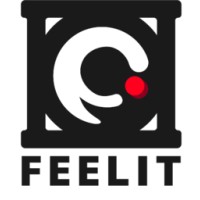FEELIT logo - Similar company to Hiwave