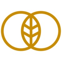 Maple Insurance & Risk logo - Similar company to Smith & Lane Insurance