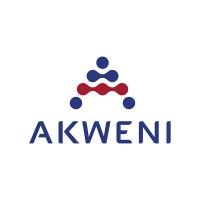 Akweni Group logo - Similar company to Qhooeng Construction