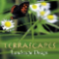 Terrascapes Landscape Design And Fine Gardening