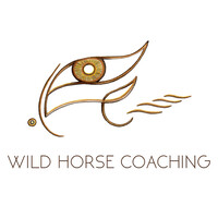 Wild Horse Coaching: Trainingen Voor Teamontwikkeling En Persoonlijk Leiderschap