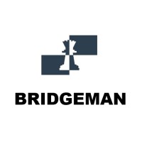 BRIDGEMAN CONSULTING PRIVATE LIMITED logo - Similar company to Click2Clinic Healthcare Inc