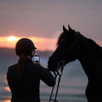 Forever Lennon logo - Similar company to Horse Angels