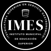 IMES 