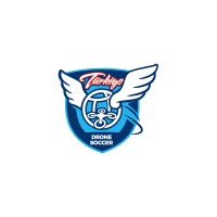 Drone Soccer Türkiye logo - Similar company to Drone Soccer France