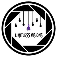 Limitless Visions logo - Similar company to Barrow Group, Llc
