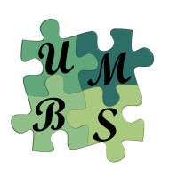 United Medical Billing Service logo - Similar company to Intella Ecom It Solution Pvt Ltd