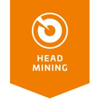 HeadMining logo - Similar company to Sixtina Group