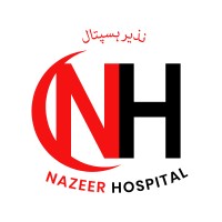 Nazeer Hospital logo - Similar company to Mega Medical Complex
