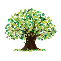The Woodlands Family Counseling Center logo - Similar company to Beyond Therapy Educational Solutions