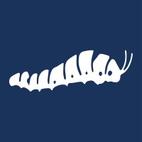 Catalyst Accelerator - Powered by Maximize logo - Similar company to Maximize