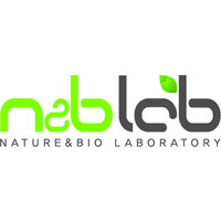 N&B Lab logo - Similar company to Solbridge Cdc