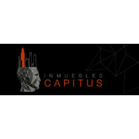 Capitus logo - Similar company to Ramax*