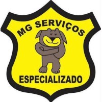 MG LOCALIZAÇÃO DE VEÍCULOS SS LTDA ME logo - Similar company to Jipebras Auto Peças Ltda