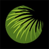 Cabbage Tree Landscape logo - Similar company to Stone Will Landscaping
