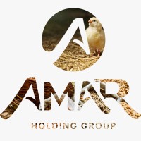HOLDING AMAR GROUP LLC logo - Similar company to Dobiza - Business & Markets Services