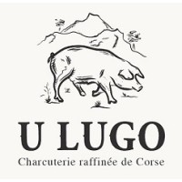 U LUGO logo - Similar company to Compozit