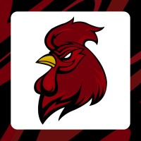 Gamecock Esports logo - Similar company to Original Design