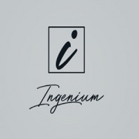 Ingenium Consulting Services Limited logo - Similar company to Polygon Pets Limited