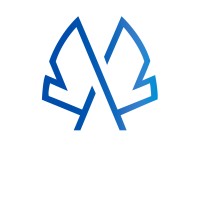 Angelico AI logo - Similar company to Sister Analyst