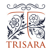 TRISARA CONSULTANTS UK LTD logo - Similar company to Prelude Business Solutions