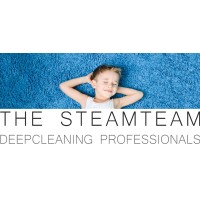 The Steamteam logo - Similar company to Rex Encore Llc