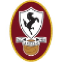 U.S.D. Arezzo Calcio