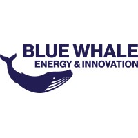 BW Energy & Innovation logo - Similar company to Blue Whale Materials Llc