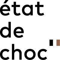 État de choc logo - Similar company to Allo Simonne