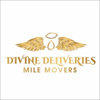 Divine  Deliveries logo - Similar company to Rakibe Dynamics