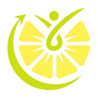 Lemo&n B.V. logo - Similar company to Launch!